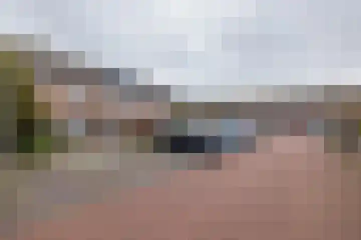 Heggerank 3 Noordwijkerhout thumbnail 40