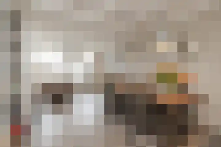 Heggerank 3 Noordwijkerhout thumbnail 5