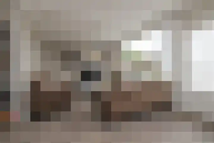 Heggerank 3 Noordwijkerhout thumbnail 6