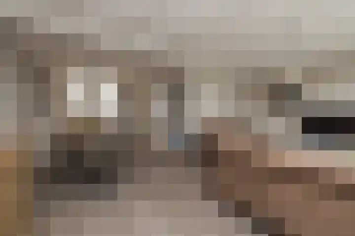 Heggerank 3 Noordwijkerhout thumbnail 7
