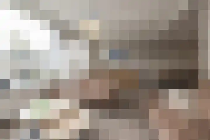 Heggerank 3 Noordwijkerhout thumbnail 9