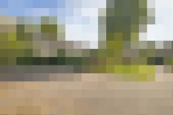 Heggerank 34 Nieuwegein thumbnail 33