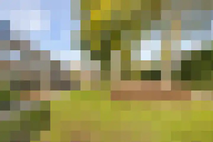 Heggerank 34 Nieuwegein thumbnail 34