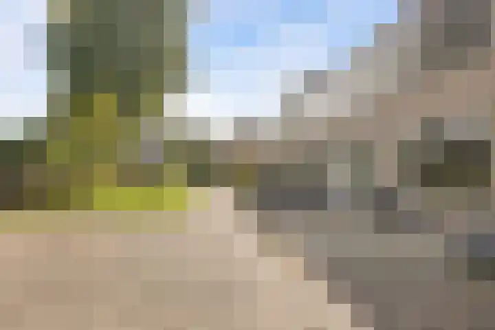 Heggerank 34 Nieuwegein thumbnail 35