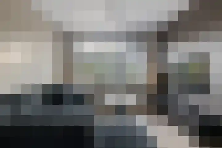 Heggerank 34 Nieuwegein thumbnail 6