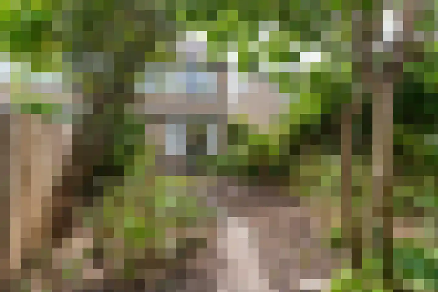 Heggerank 40 Nieuwegein thumbnail 13