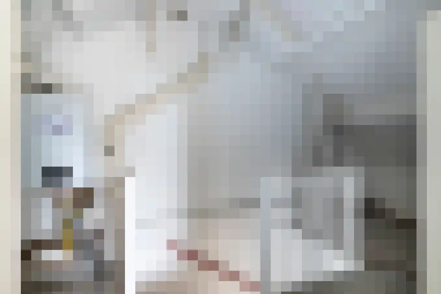 Heggerank 40 Nieuwegein thumbnail 23