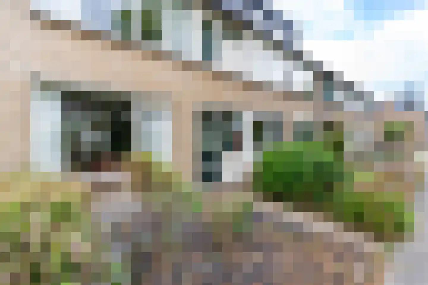 Heggerank 40 Nieuwegein thumbnail 28
