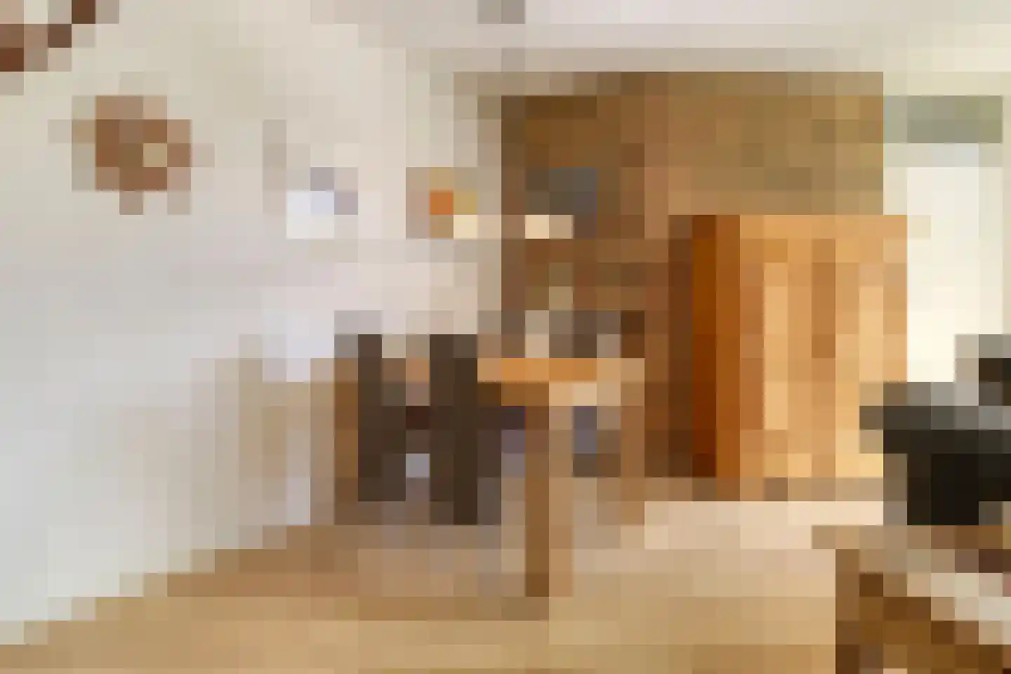 Heggerank 78 Nieuwvliet thumbnail 9