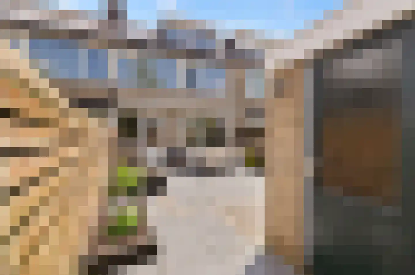 Heggerank 8 Nieuwegein thumbnail 13