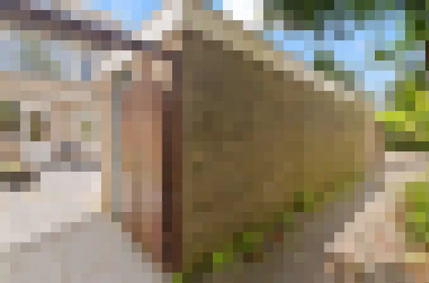 Heggerank 8 Nieuwegein thumbnail 15