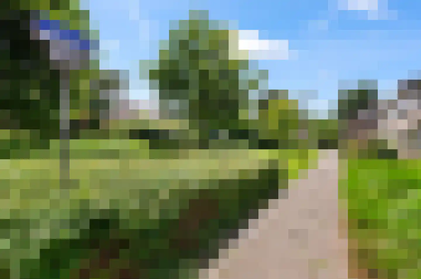 Heggerank 8 Nieuwegein thumbnail 36