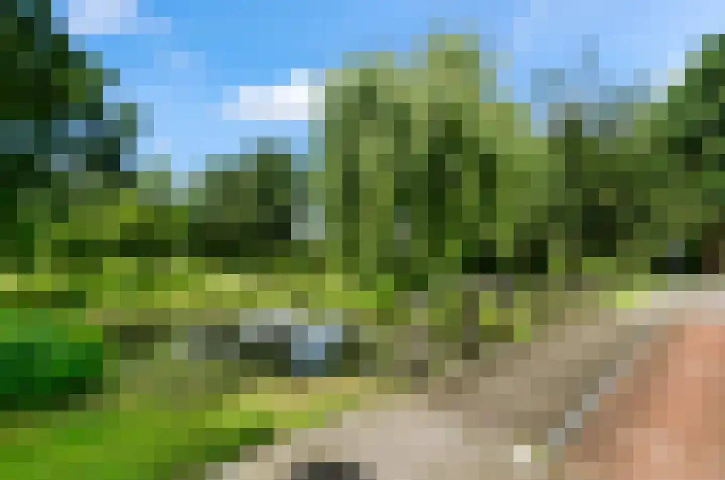 Heggerank 8 Nieuwegein thumbnail 37
