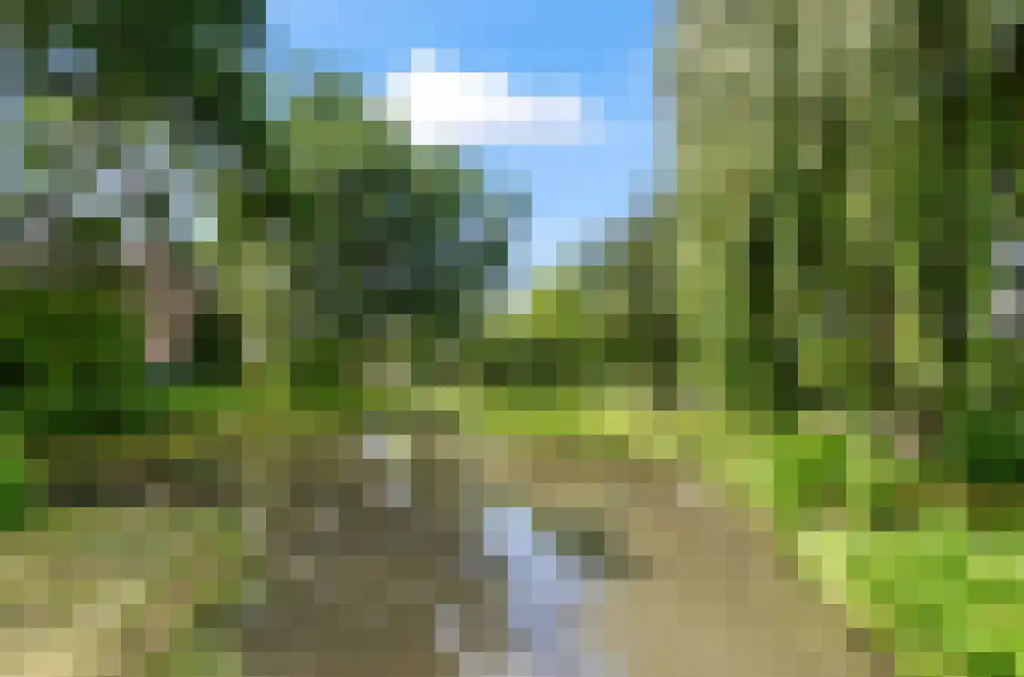 Heggerank 8 Nieuwegein thumbnail 38