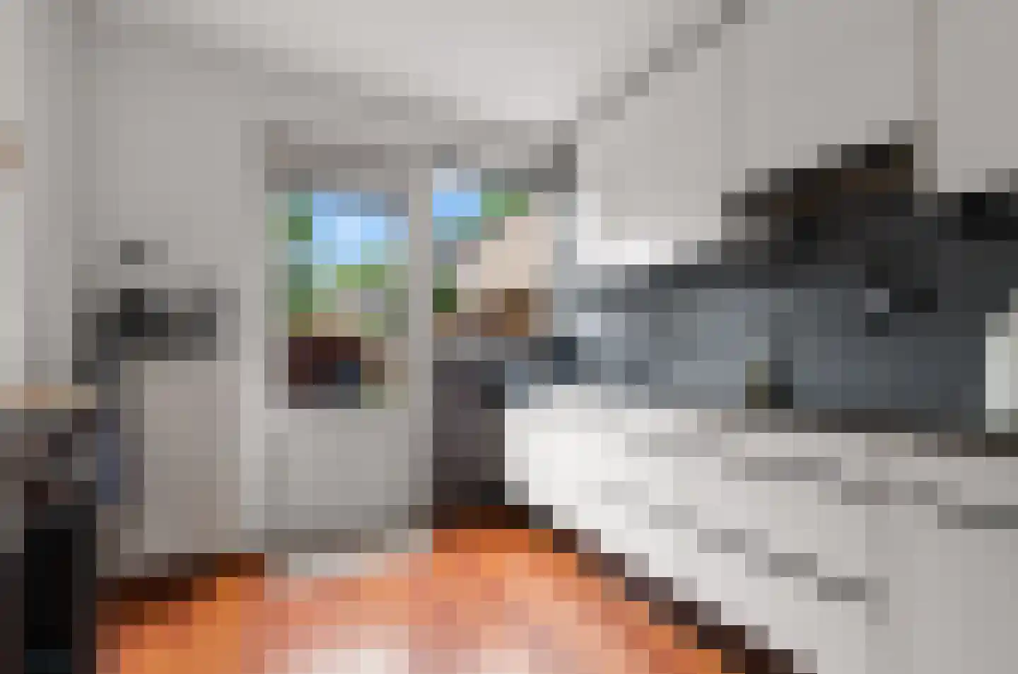 Heggerank 8 Nieuwegein thumbnail 9