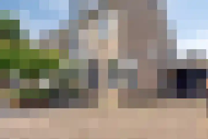 Heggerank 93 Cuijk thumbnail 10