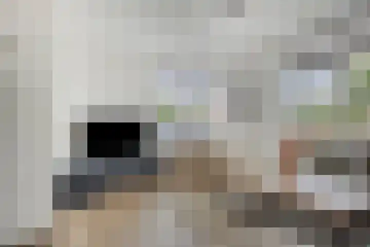 Heggerank 93 Cuijk thumbnail 13
