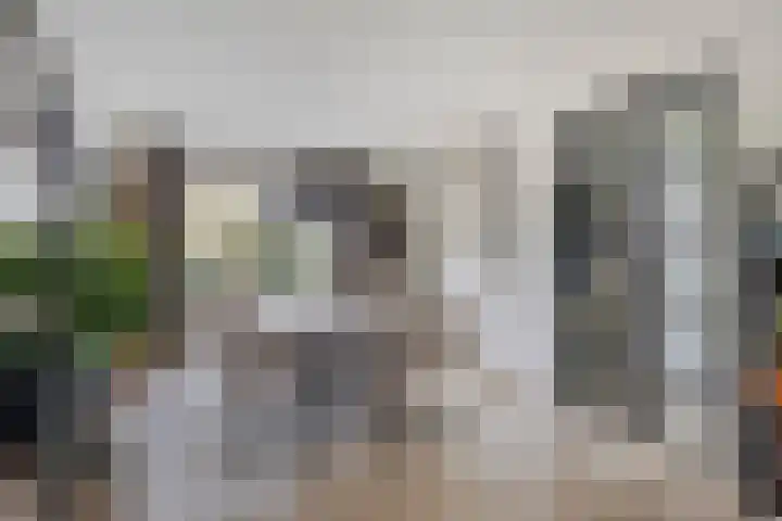 Heggerank 93 Cuijk thumbnail 18