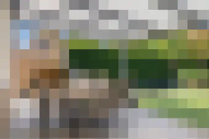 Heggerank 93 Cuijk thumbnail 39
