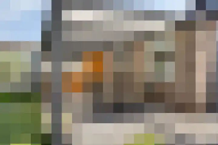 Heggerank 93 Cuijk thumbnail 40