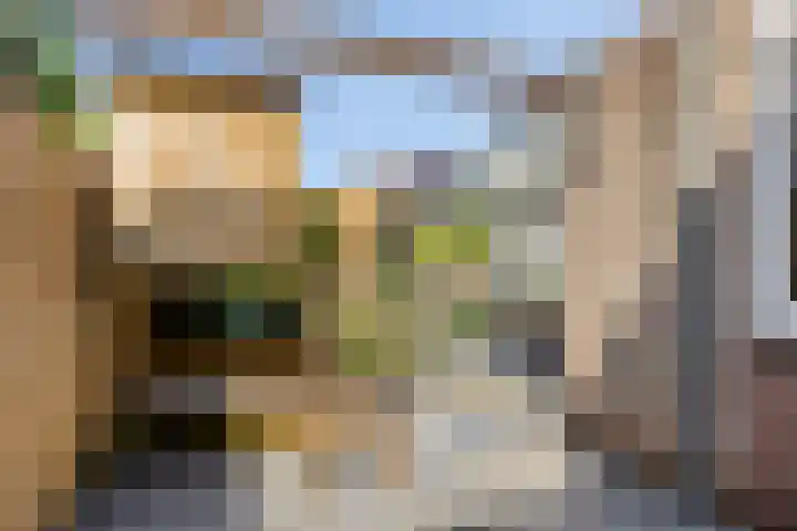 Heggerank 93 Cuijk thumbnail 42