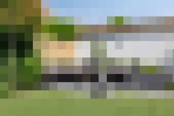 Heggerank 93 Cuijk thumbnail 43