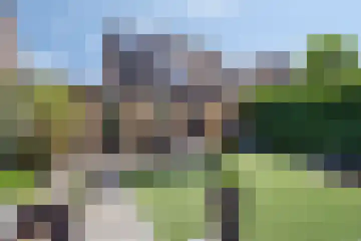 Heggerank 93 Cuijk thumbnail 44