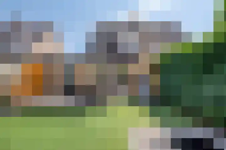 Heggerank 93 Cuijk thumbnail 45