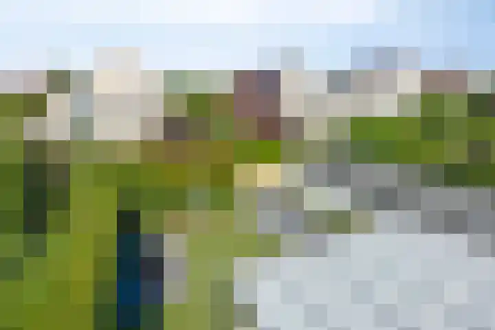 Heggerank 93 Cuijk thumbnail 46