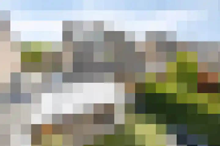 Heggerank 93 Cuijk thumbnail 47