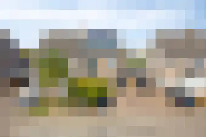 Heggerank 93 Cuijk thumbnail 6