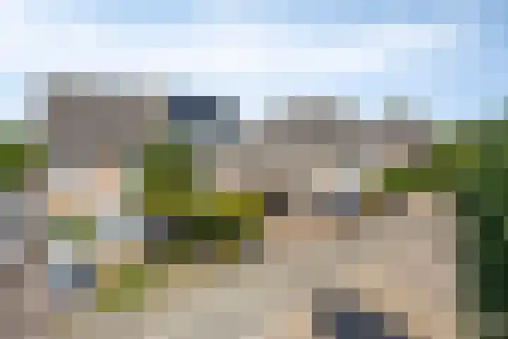 Heggerank 93 Cuijk thumbnail 7