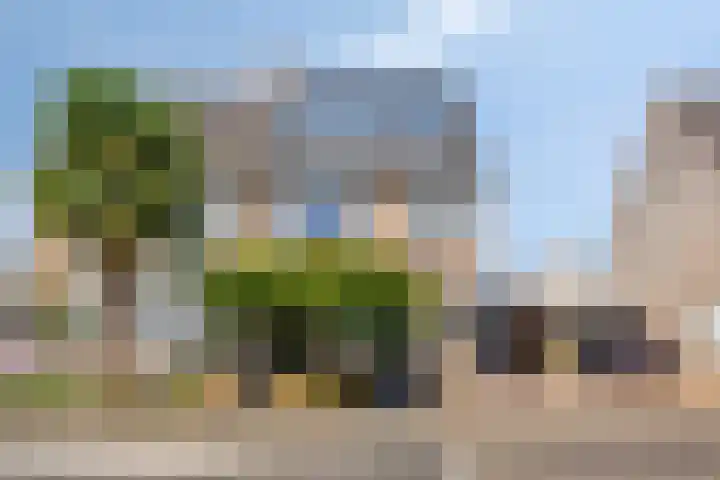 Heggerank 93 Cuijk thumbnail 8
