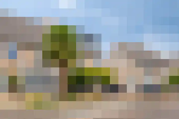Heggerank 93 Cuijk thumbnail 9
