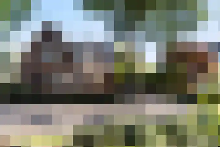 Heggerenkweg 3 Vaassen foto 3
