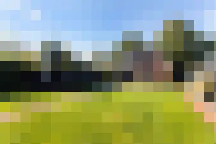Heggerenkweg 3 Vaassen thumbnail 4