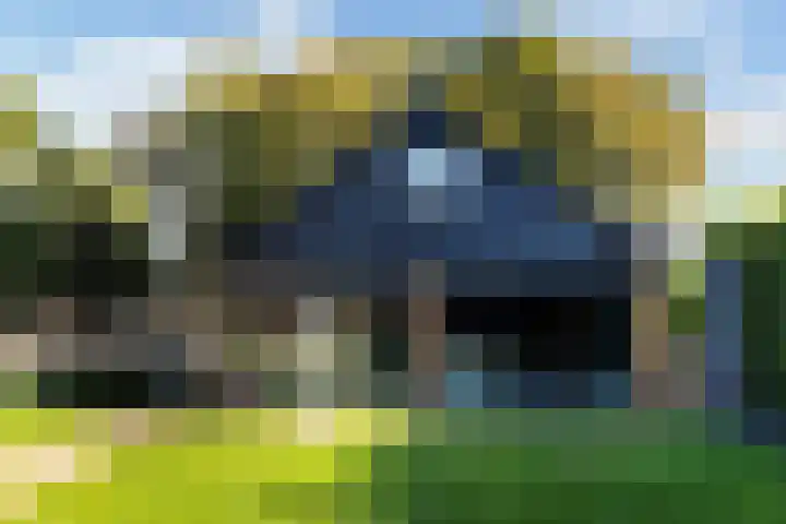 Heggerenkweg 3 Vaassen thumbnail 5