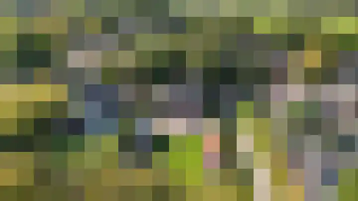 Heggerenkweg 3 Vaassen thumbnail 58