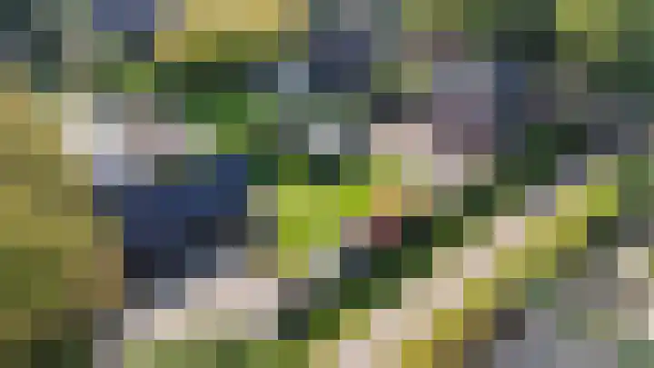 Heggerenkweg 3 Vaassen thumbnail 59