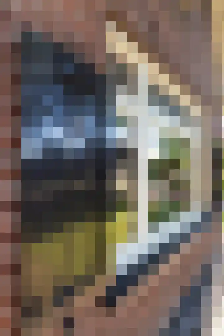 Heggerenkweg 3 Vaassen thumbnail 6