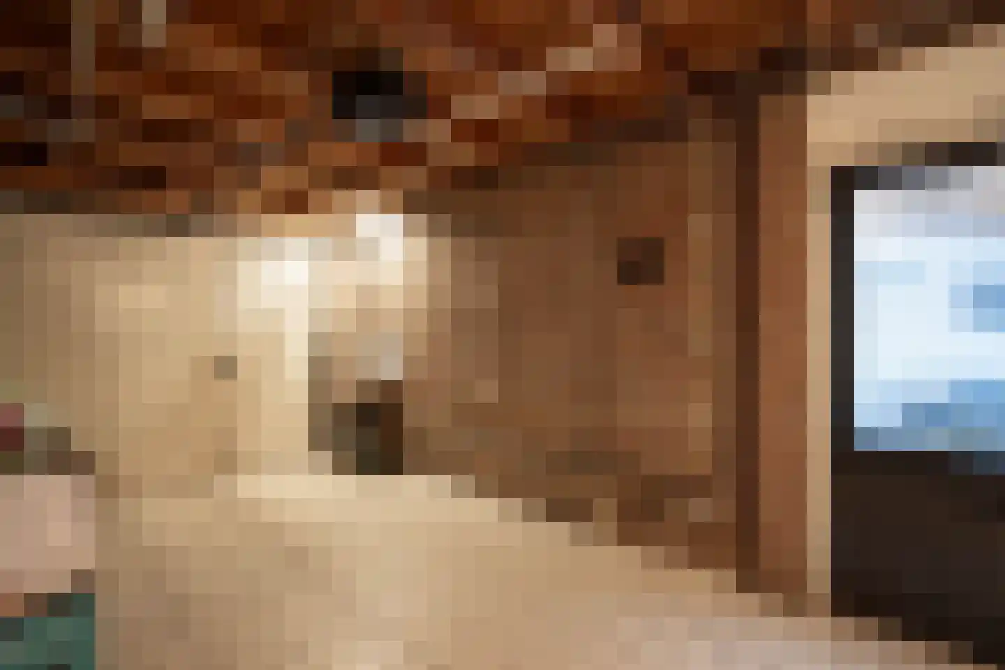 Heggeroosstraat 16 Bakel thumbnail 52
