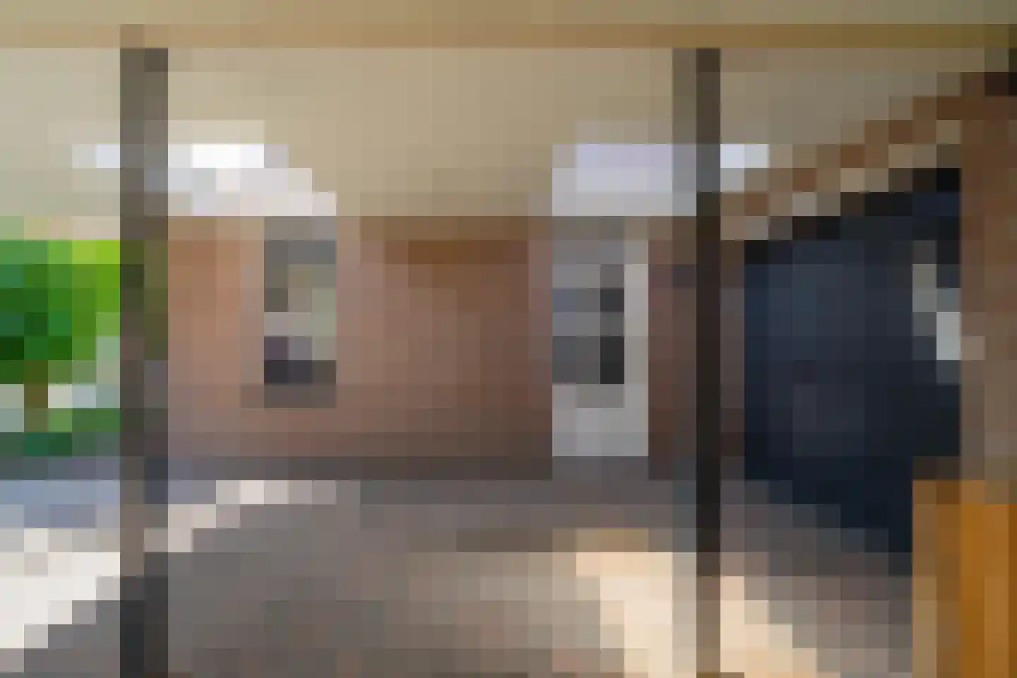 Heggeroosstraat 16 Bakel thumbnail 54