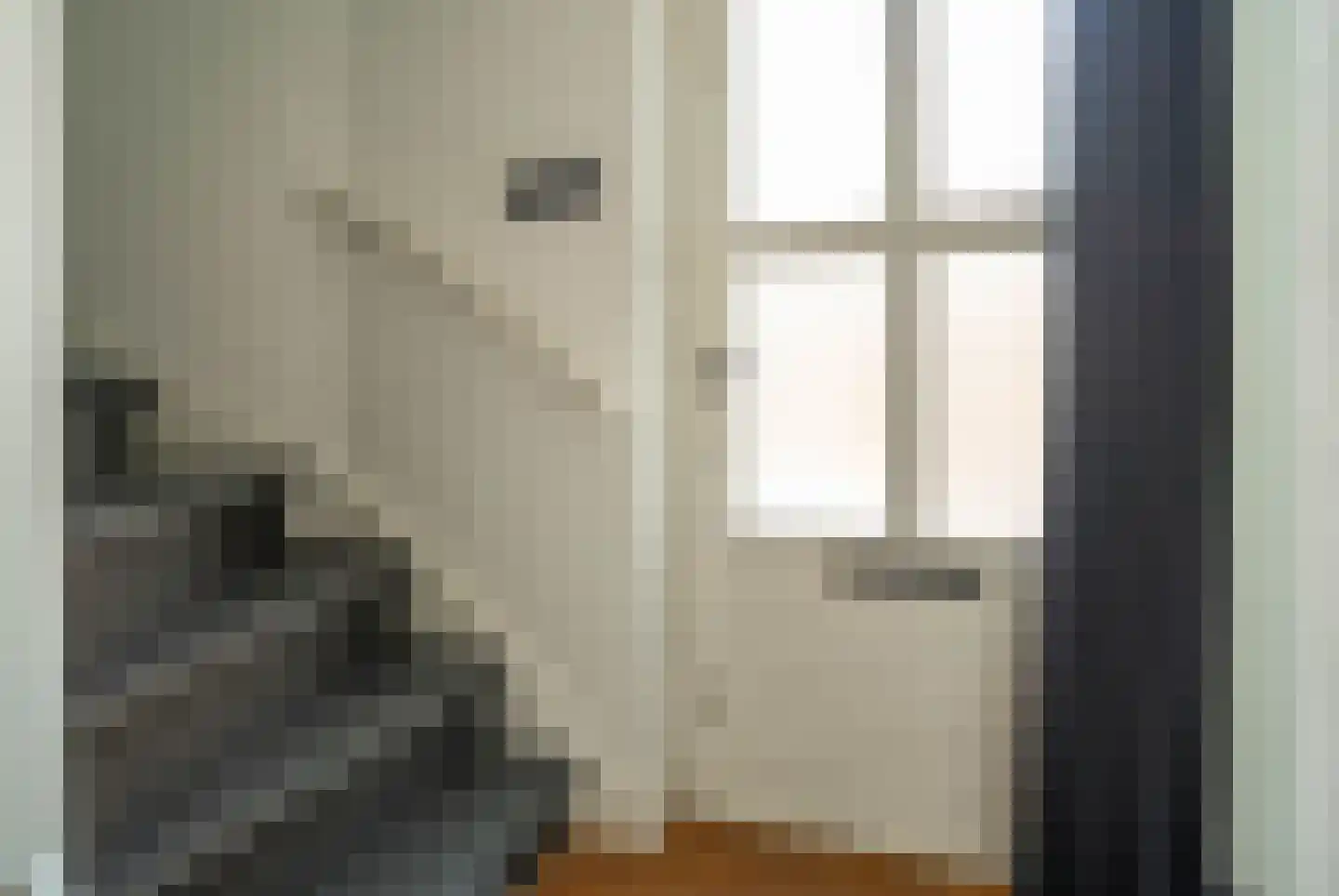 Heggeroosstraat 16 Bakel thumbnail 6