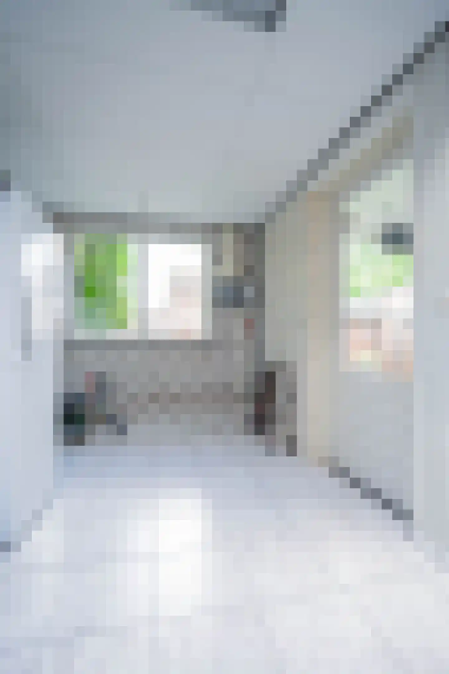 Heggeroosstraat 6 Bakel thumbnail 42