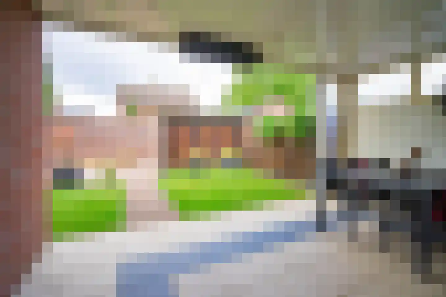 Heggeroosstraat 6 Bakel thumbnail 44