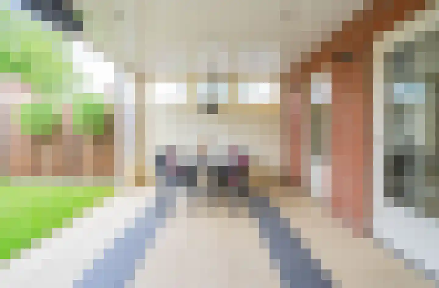 Heggeroosstraat 6 Bakel thumbnail 45