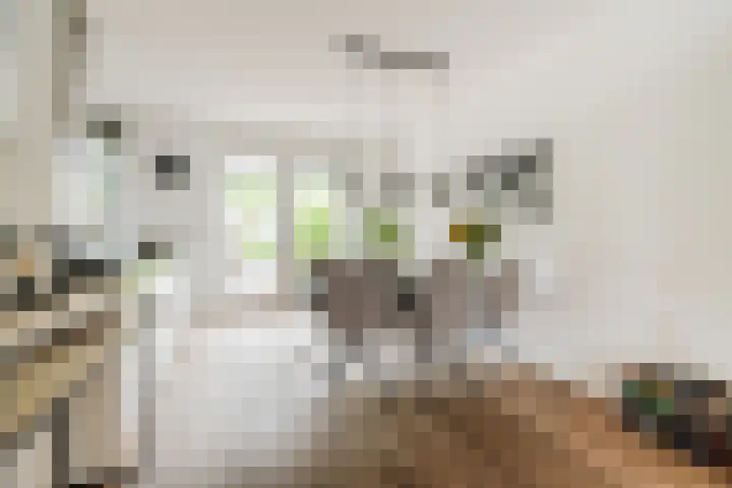 Heggestraat 50 Geldrop thumbnail 15