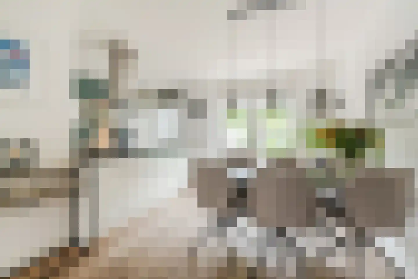 Heggestraat 50 Geldrop thumbnail 16