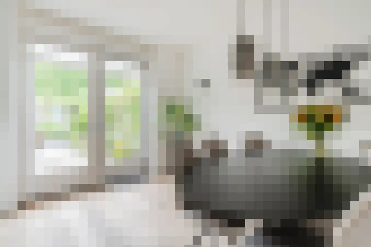 Heggestraat 50 Geldrop thumbnail 17