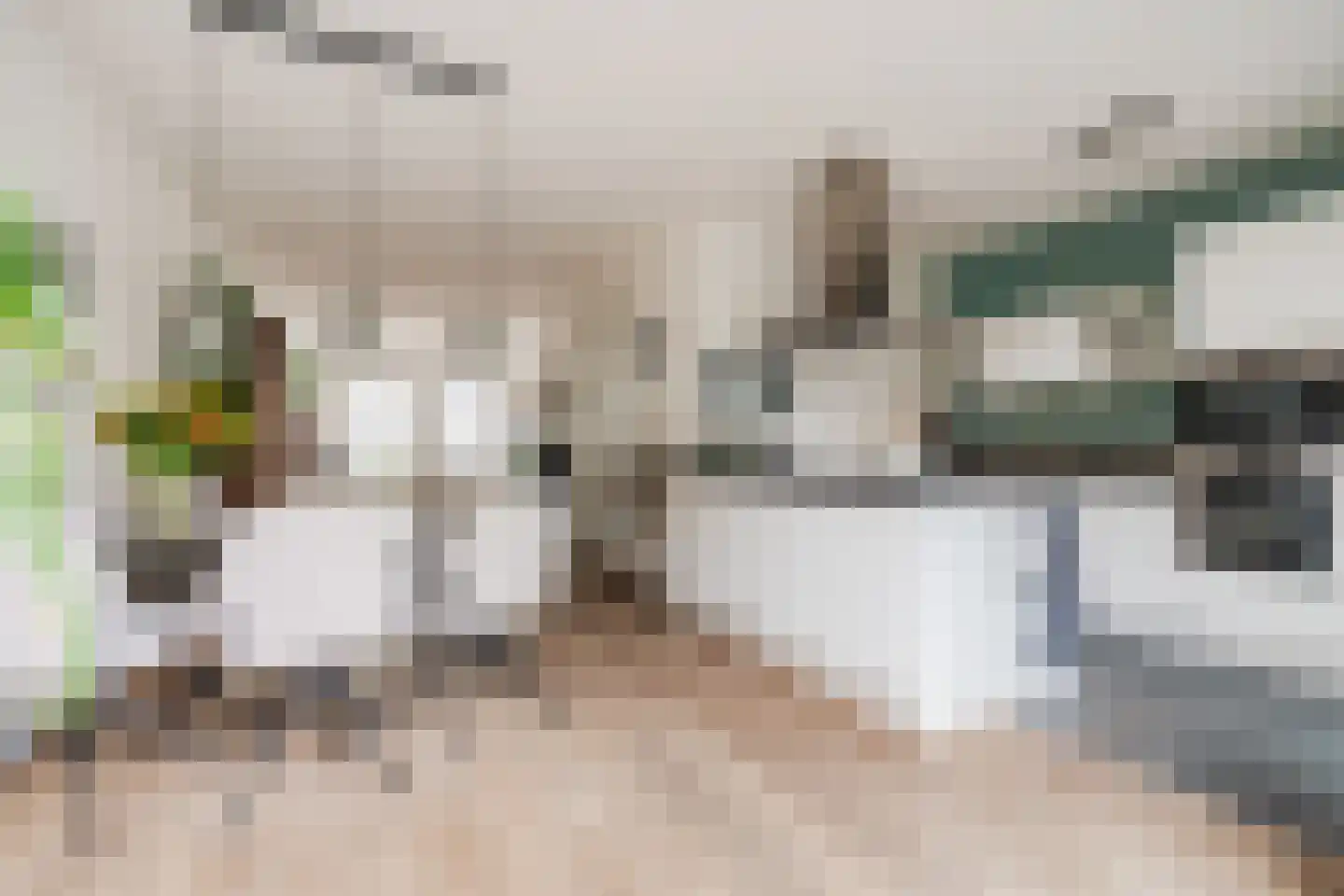 Heggestraat 50 Geldrop thumbnail 18